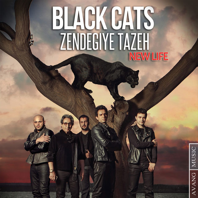 Black Cats Zendegiye Tazeh 